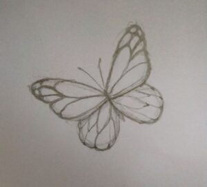 Easy butterfly pencil sketch for kids and beginners