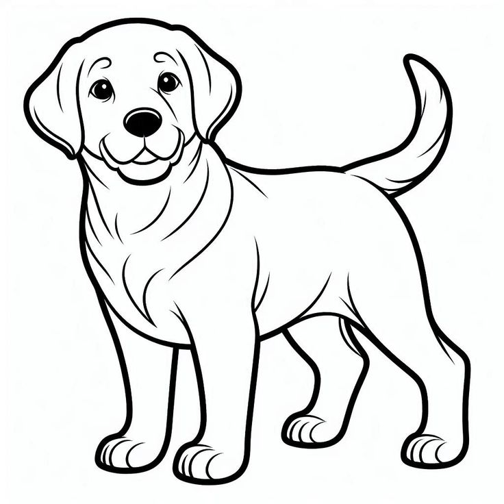 Simple dog drawing base with circle head and oval body