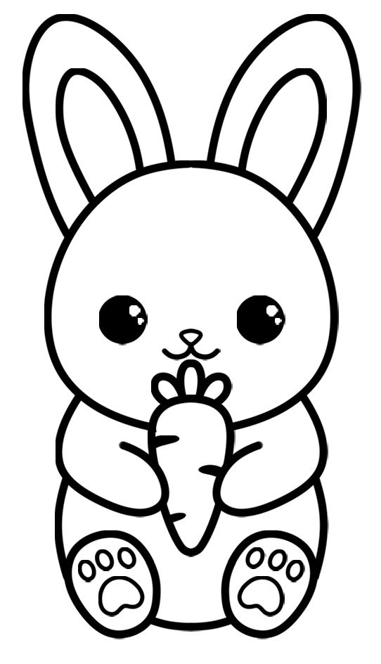 Cute bunny drawing step by step for beginners
